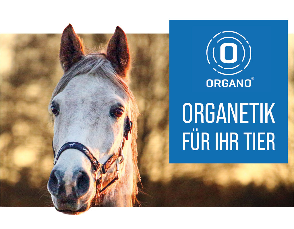 Aufmacher_Tier_Organetik_mit_Organo_Logo